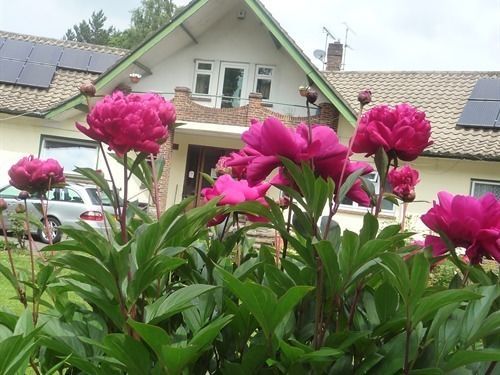 Linchens Bed And Breakfast Felbridge Εξωτερικό φωτογραφία